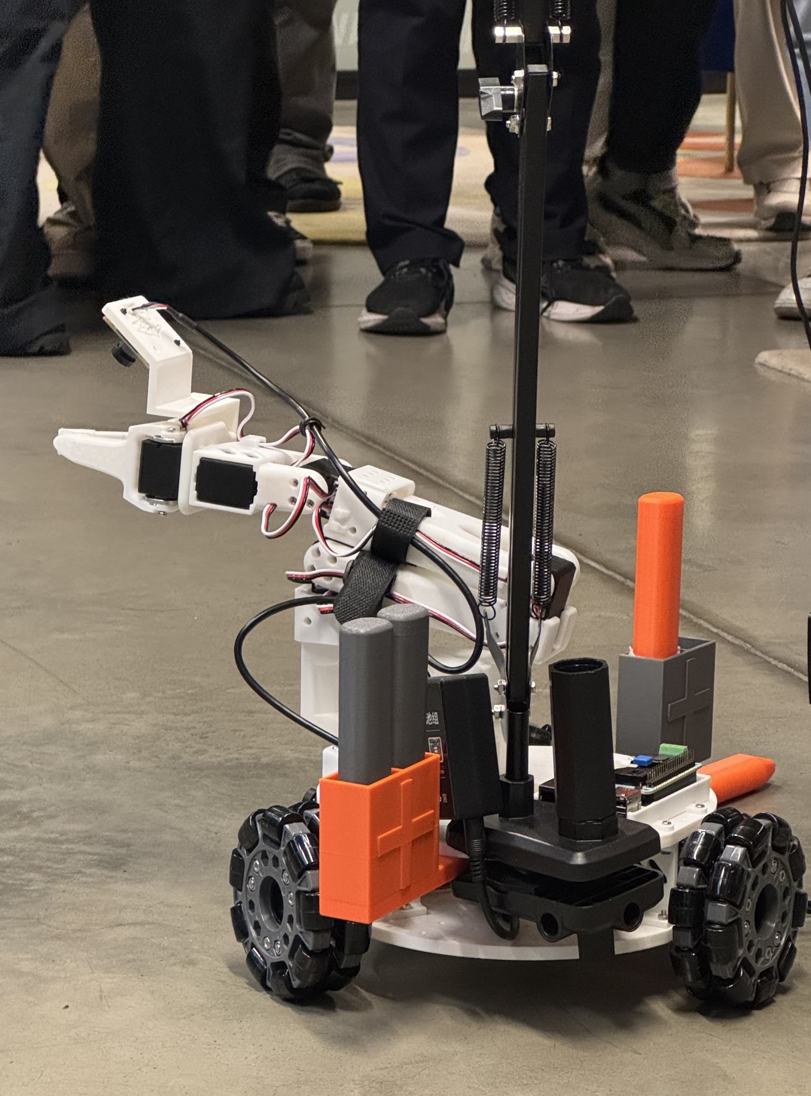 Figure 3. Allergy aid demo