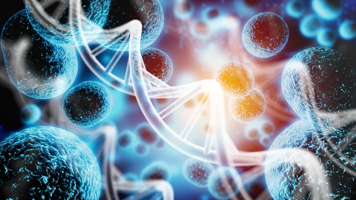 Accelerating MONAI Digital-Pathology Pipelines on AMD Instinct™ GPUs with hipCIM