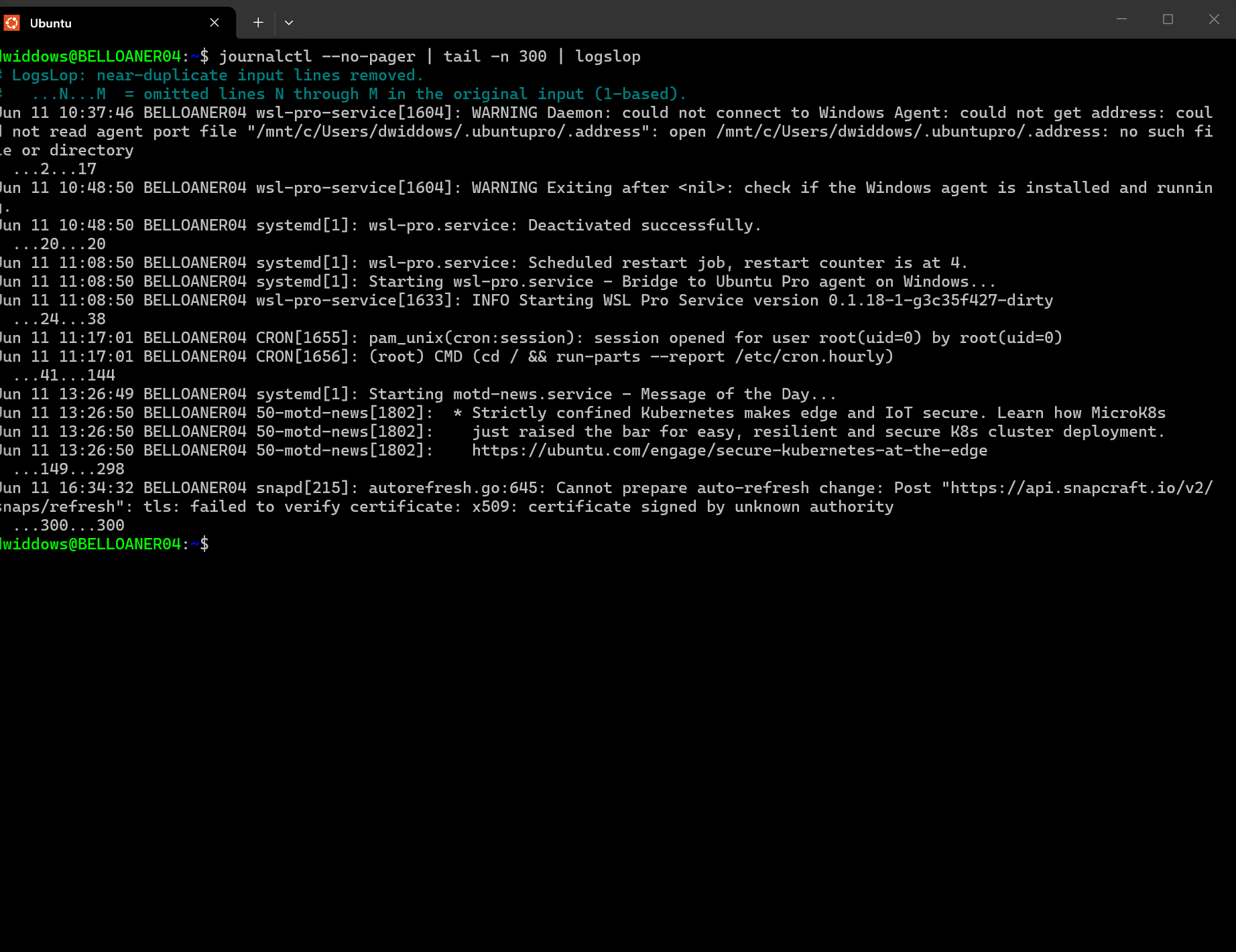 journalctl output with LogsLop