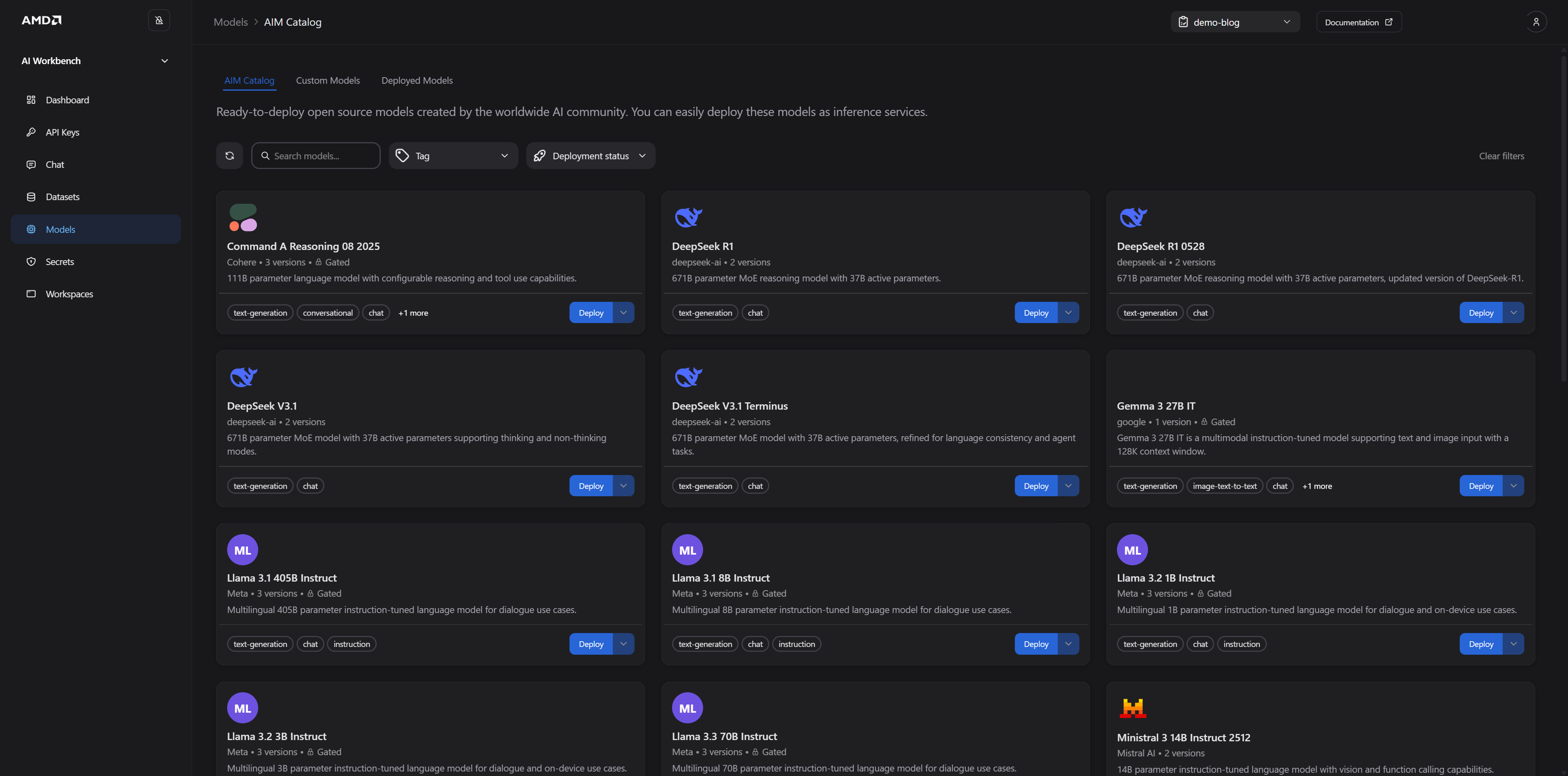 The AMD AI Workbench Models page AIM catalog