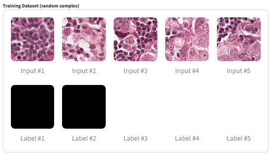 "Pathology Detection Annotated Training Images"
