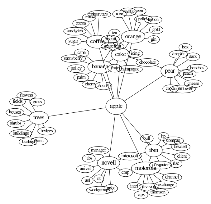 Word association graph