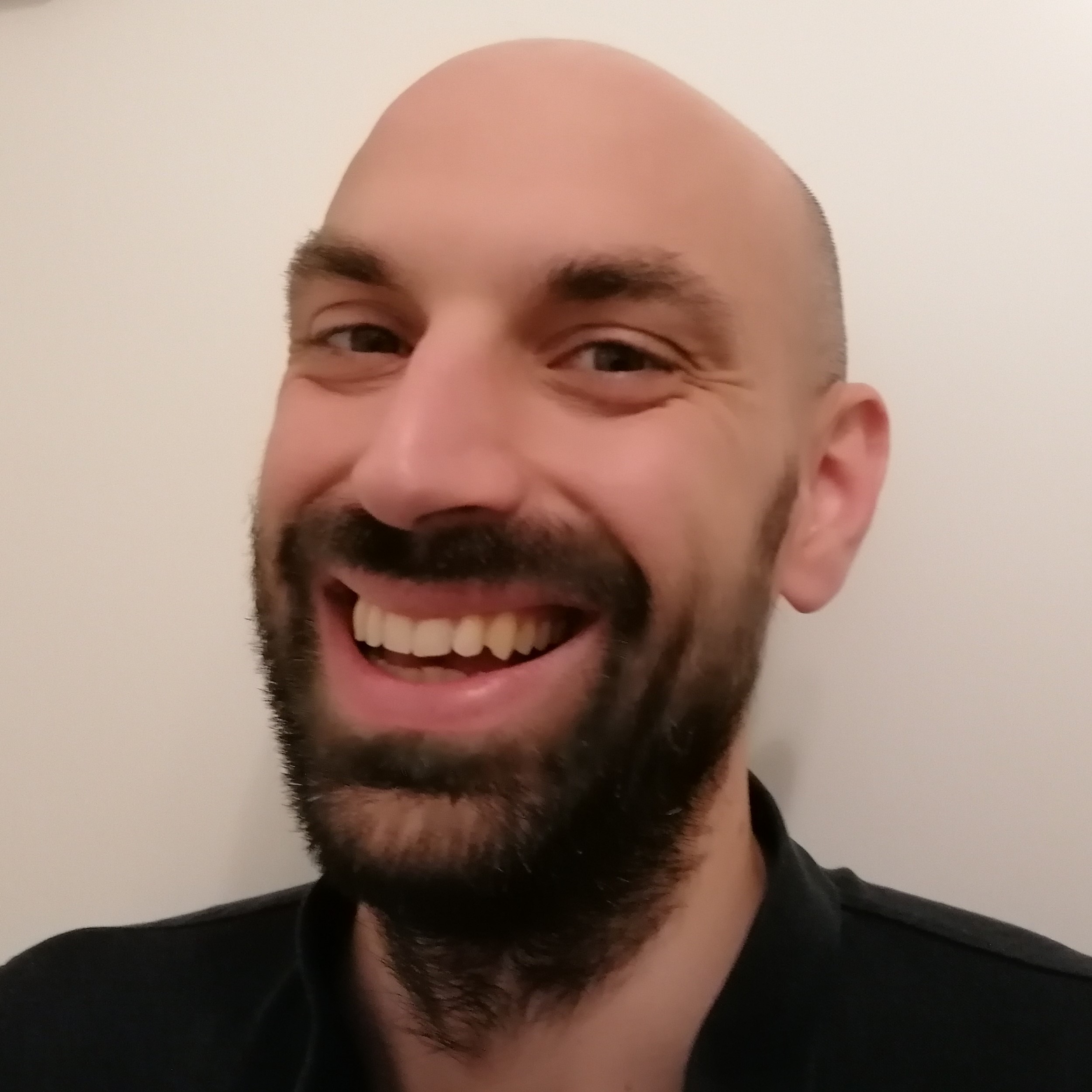 Luka Stanisic